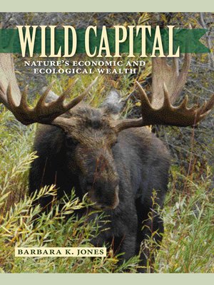 cover image of Wild Capital